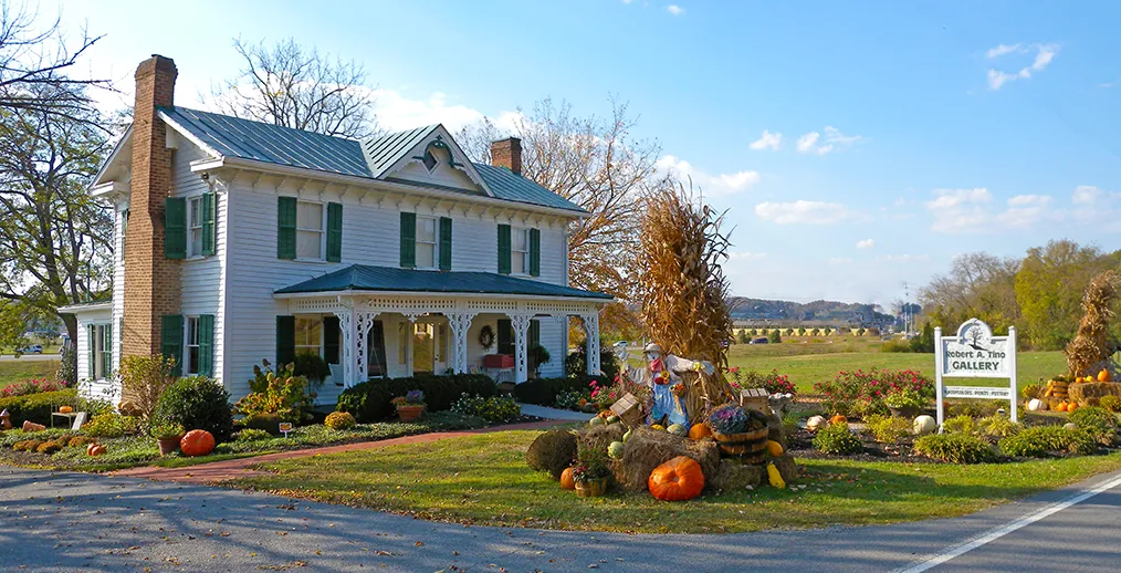 Robert A. Tino gallery in Sevierville