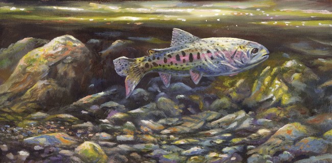 Rainbow Trout - Product Image