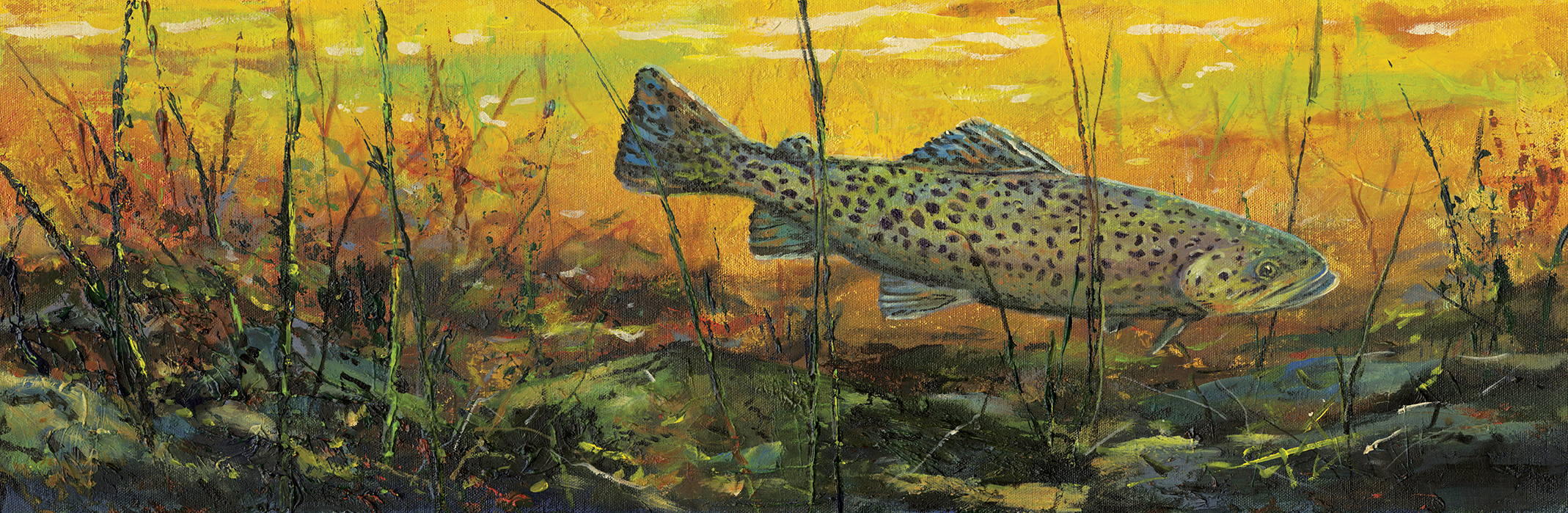 Brown Trout - Product Image