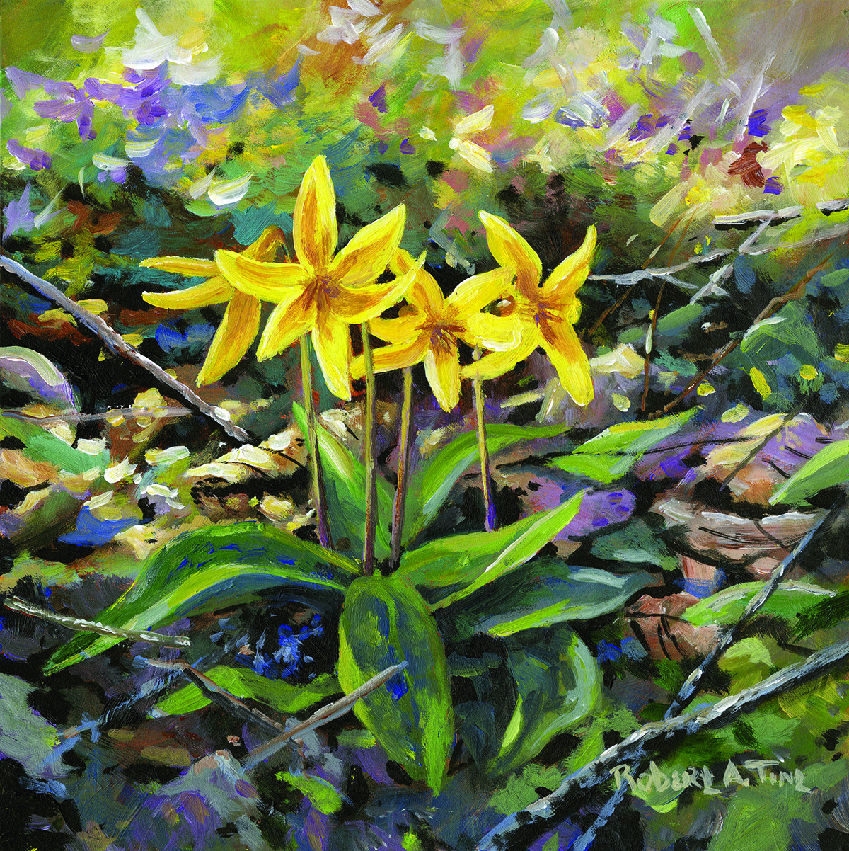 Woodland Treasure - Product Image