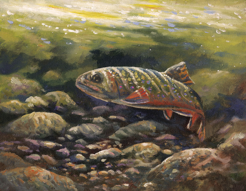 Brook Trout - Product Image