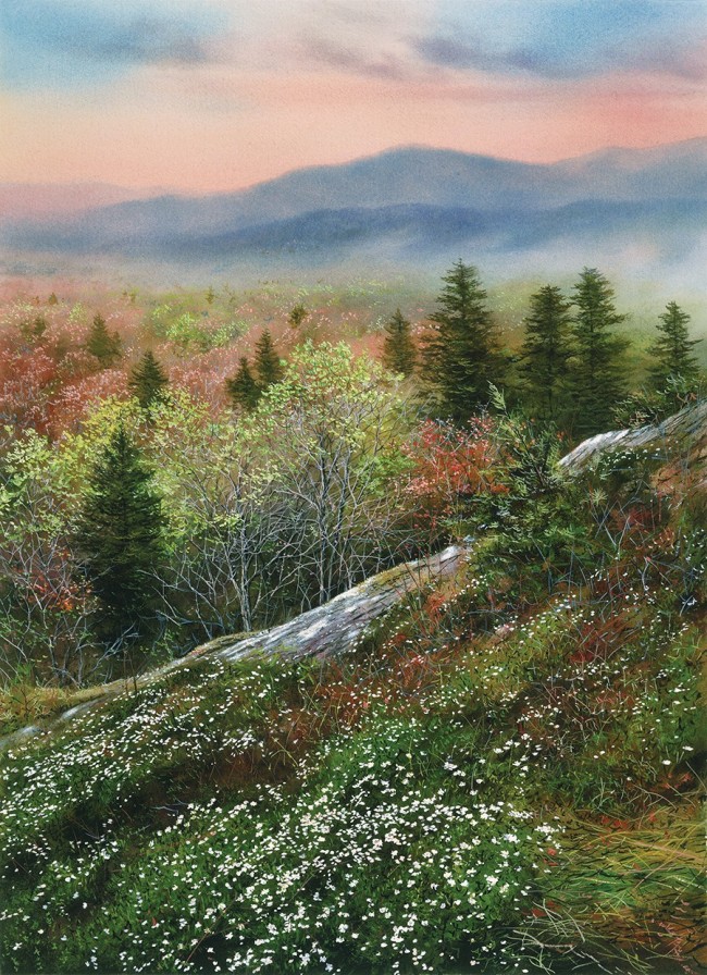 Away from the World - Product Image