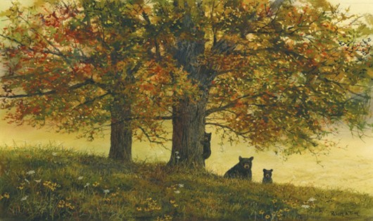 Black Bear Picnic - Product Image