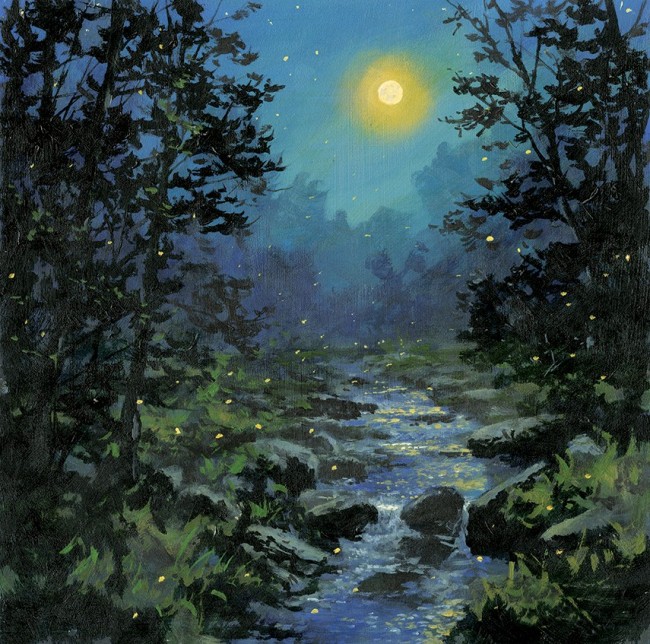 Firefly Moon - Product Image