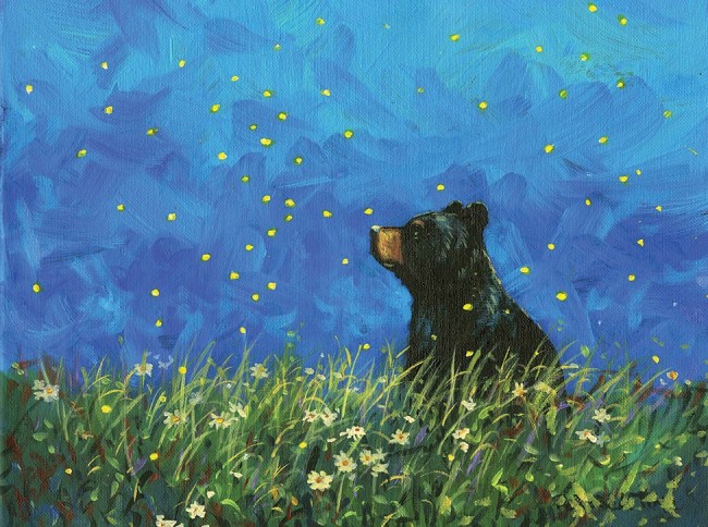 Firefly Wonder - Product Image