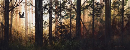 Forest Stories - Product Image