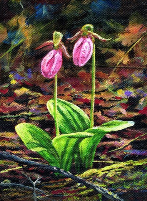 Lady Slippers - Product Image