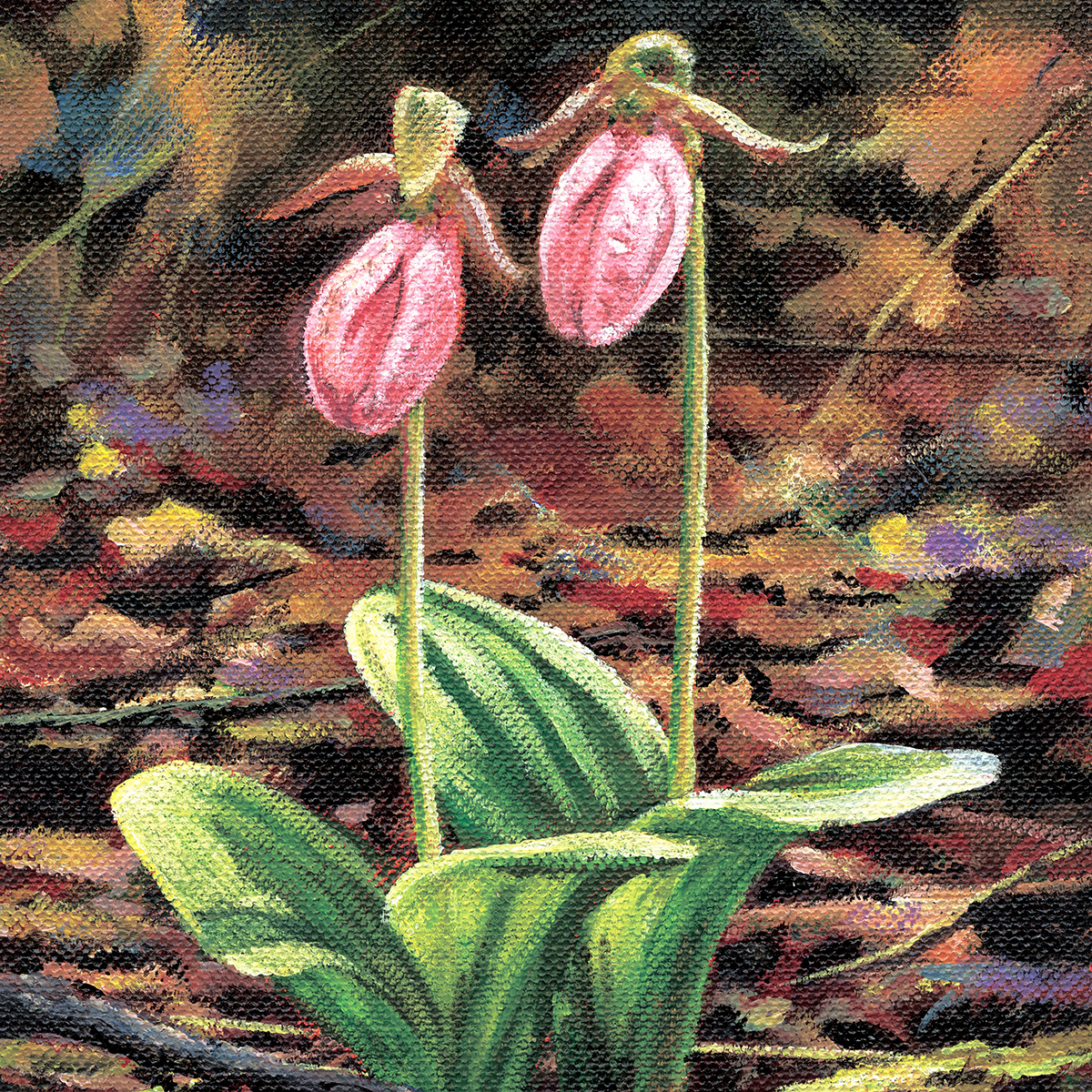 Lady Slippers - Product Image