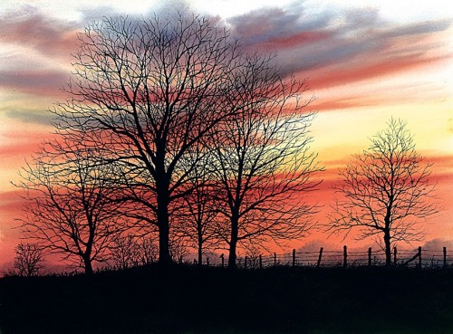 Lonely Fences - Product Image