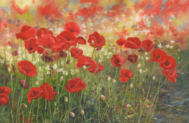 Poppies - Product Image