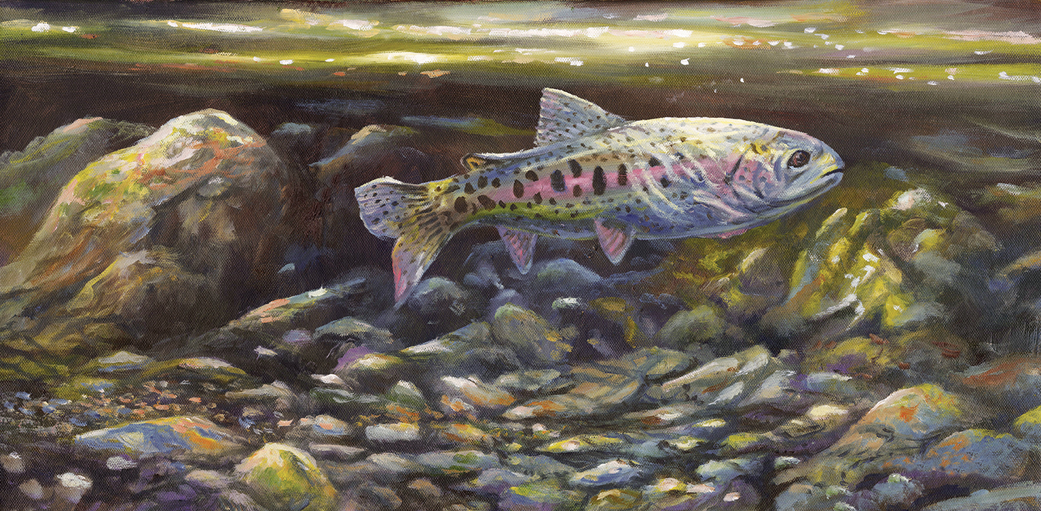 Rainbow Trout - Product Image