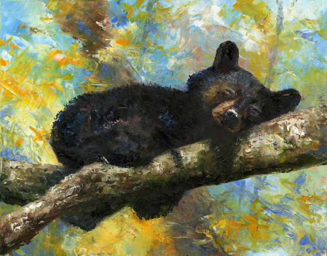 Sleepy Bear - Product Image