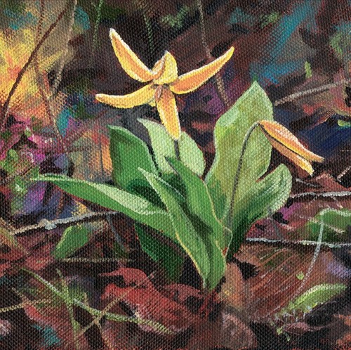 Trout Lilly - Product Image